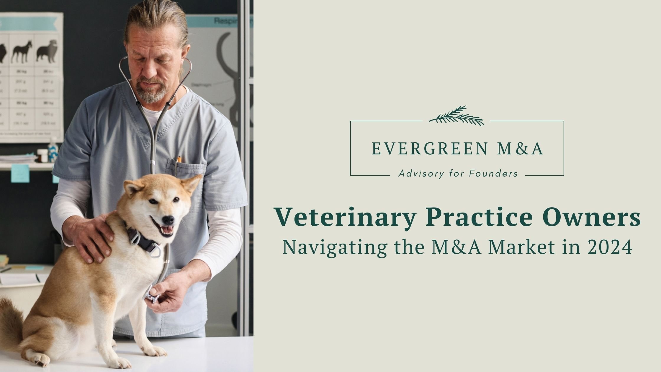 The Evolving Landscape Of Veterinary Practice M A Navigating The   Copy Of Tips Sell Or Expand (3) #keepProtocol